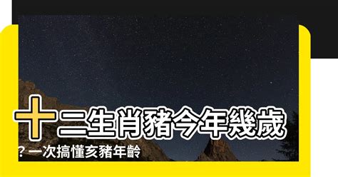 屬豬幾歲虛歲|屬豬今年幾歲｜屬豬民國年次、豬年西元年